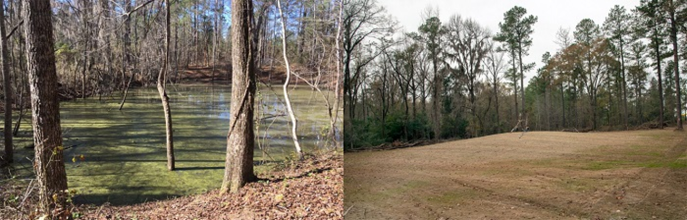 Before and after: A former waste basin near the center of the 300-square-mile Savannah River Site is shown at left prior to cleanup. Workers completed cleanup of the site, transforming it into an open field of grass, at right.