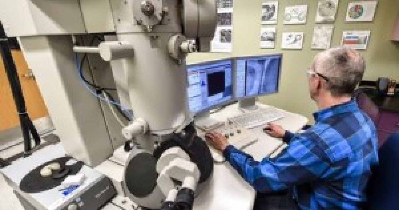 A scientist researching plant cell wall architecture and biomass deconstruction.