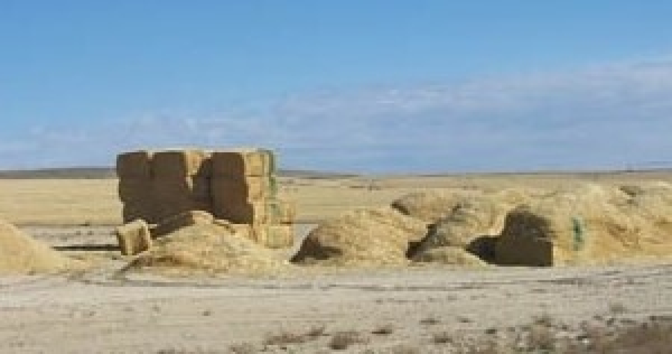 Storing biomass in a loose pile of chopped material, a stack of large square bales, and in loaves. 