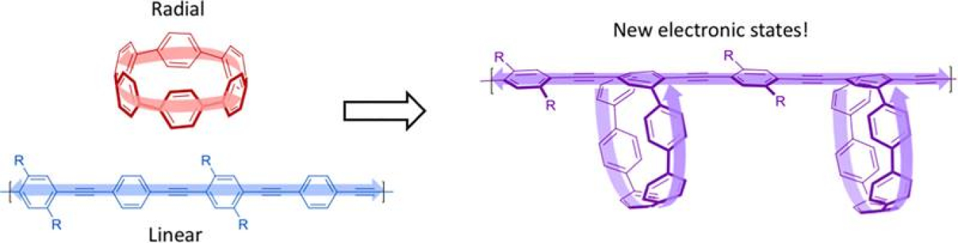 Novel research combines linear and radial molecules to create polymers with novel electronic states. The arrows indicate how electron migration flows.