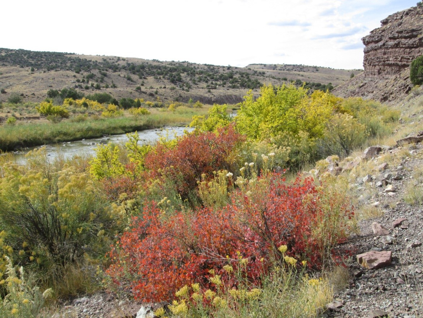 A view downstream of the Dolores River on ULP lease tract SR-14.