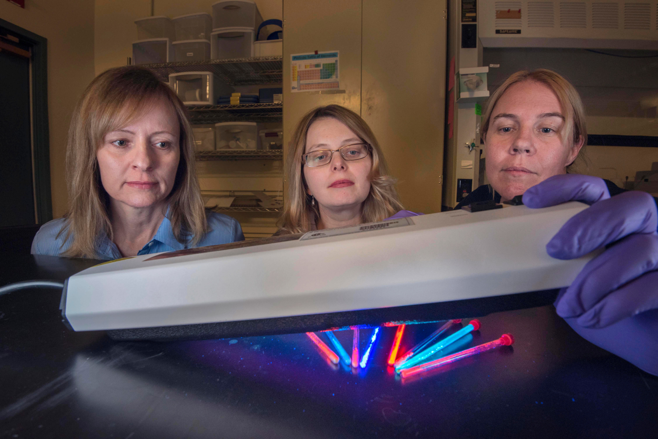 Sandia National Laboratories researchers Lauren Rohwer, left, Dorina Sava Gallis, center, and Kim Butler (photographed before the COVID-19 pandemic) use a metal-organic framework that could prove useful in tracking the spread of cancer cells.