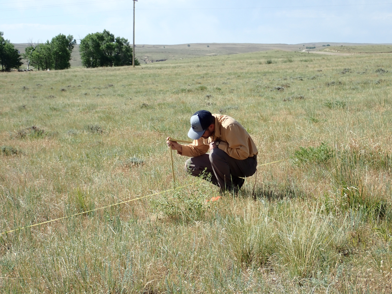 Holbrook collecting data for a rangeland health assessment.