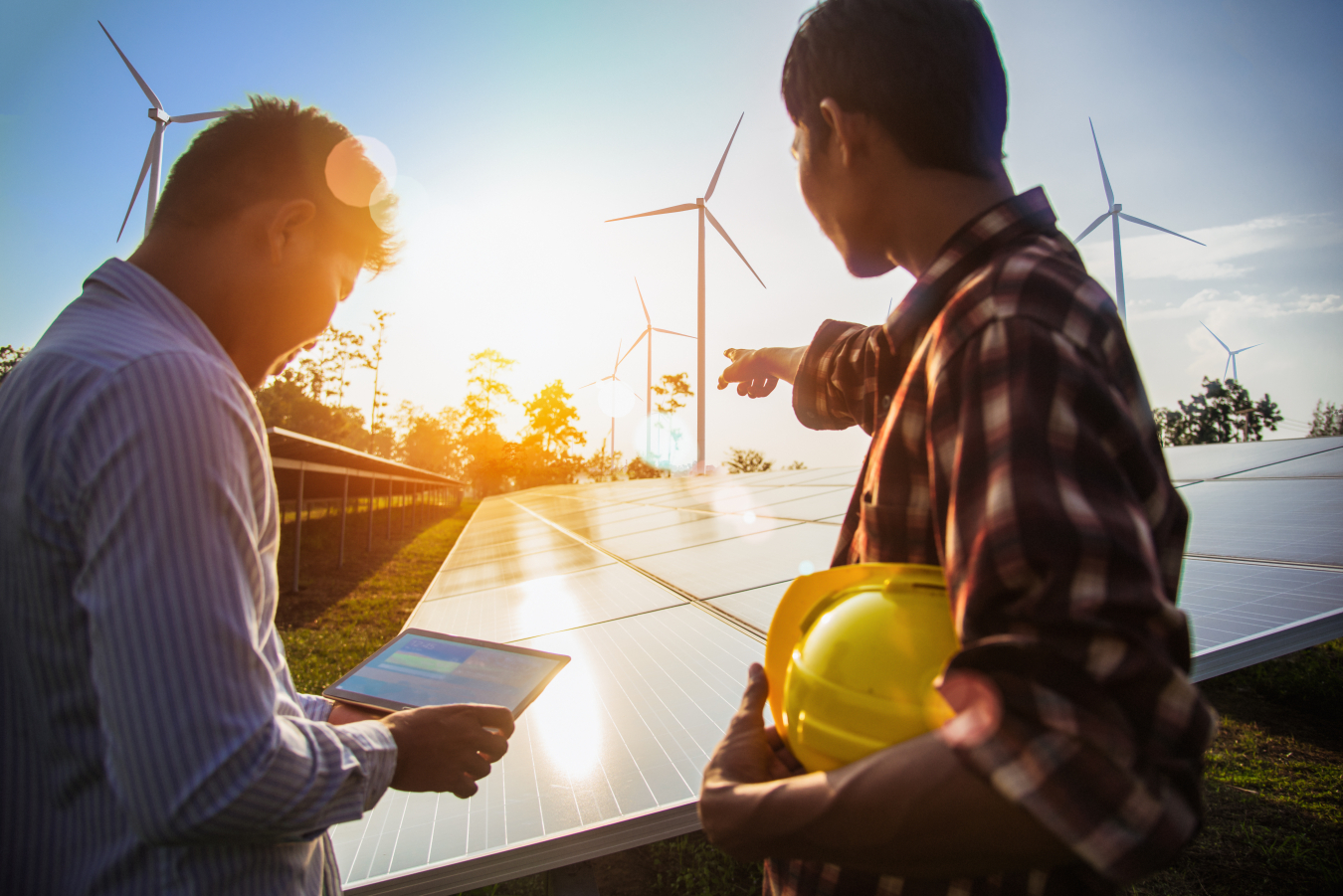 Wind and solar workers