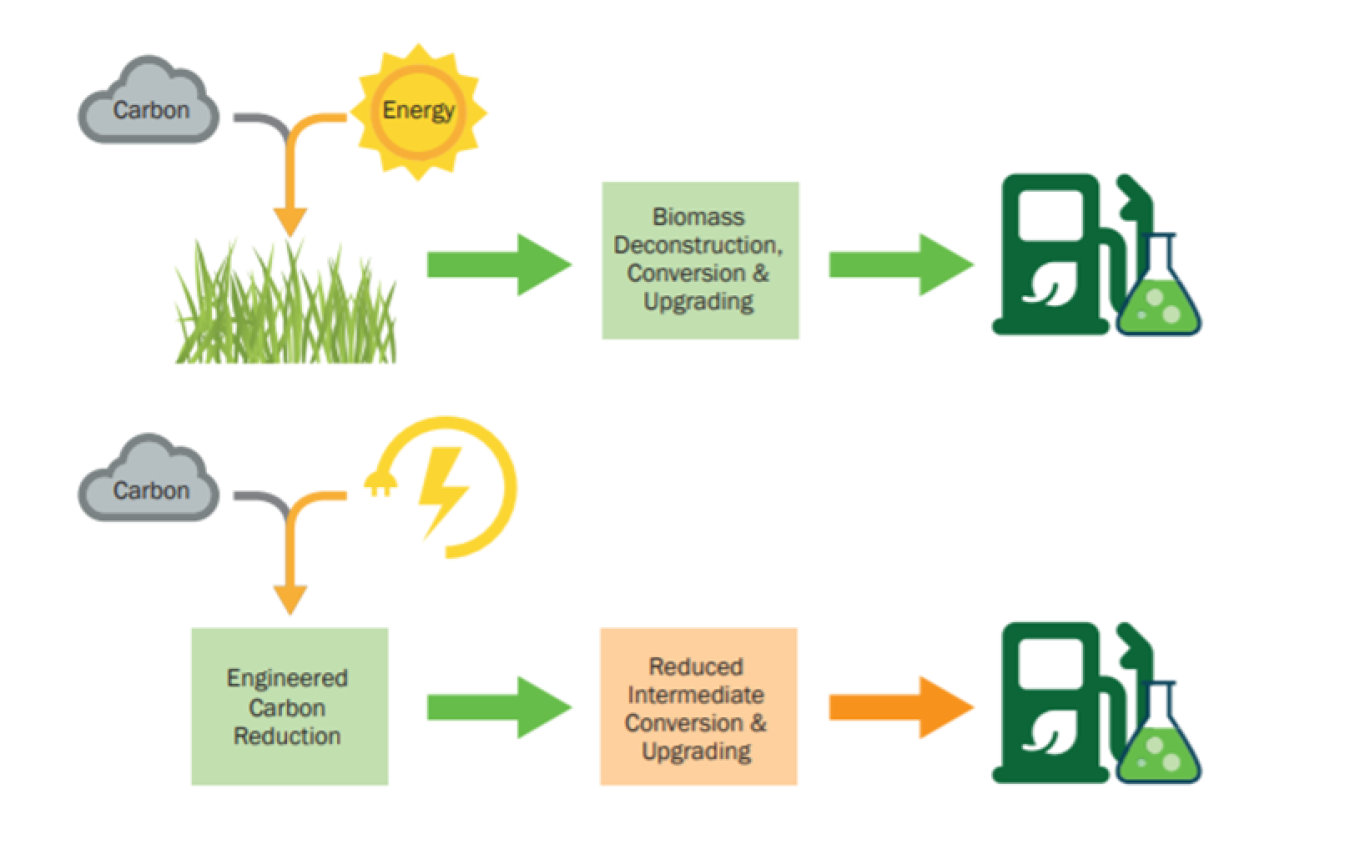Diagram showing cycle of engineered carbon reduction.