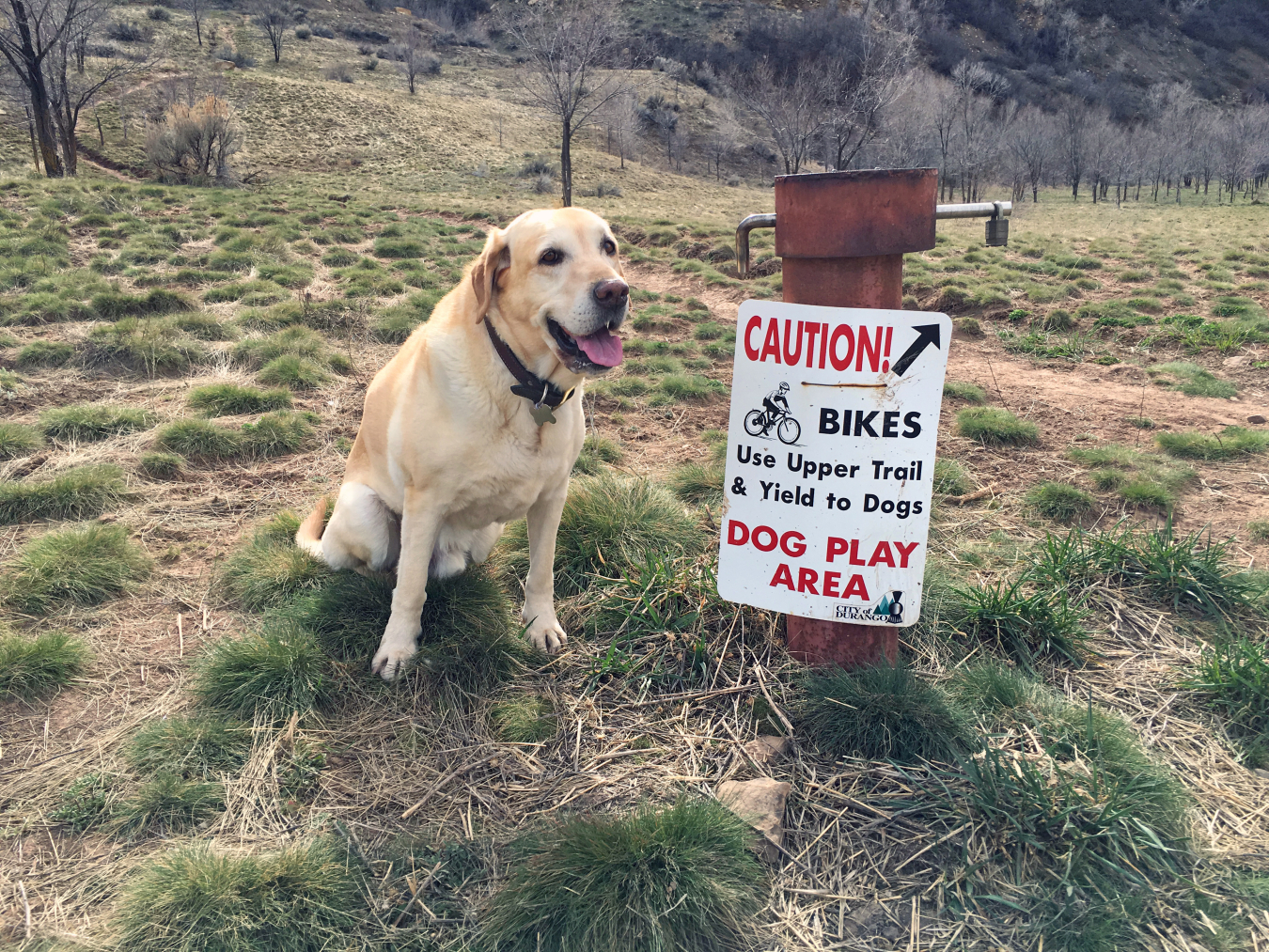 The Durango dog park offers fun for both humans and animals.