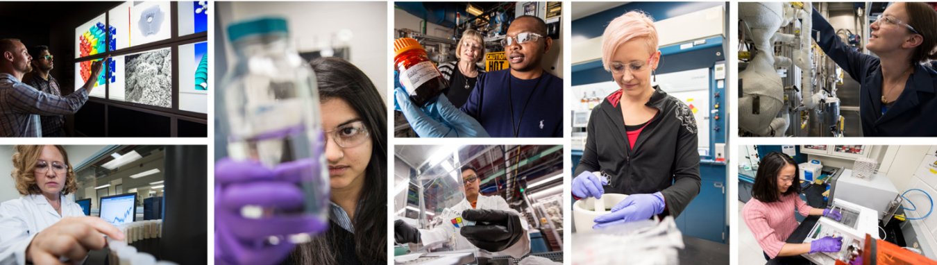 A montage of men and women working in a lab.