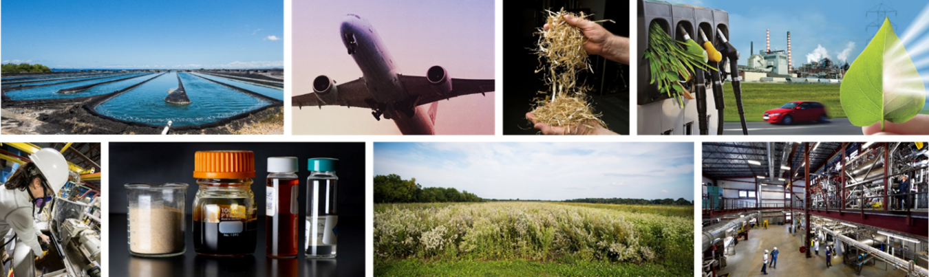 a montage of the different BETO feedstocks. Algae pongs, airplanes, labs and fields.