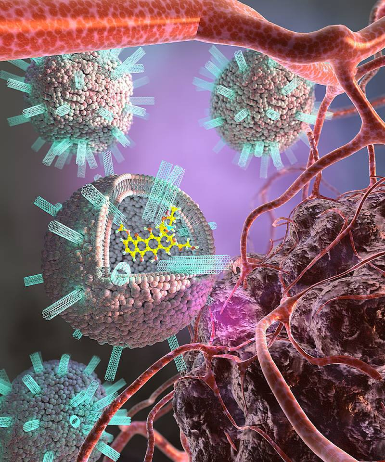 Liposomes studded with carbon nanotubes and carrying a chemotherapy drug dock to the surface of a cancer cell. This causes the liposome to fuse to the cancer cell and deliver the drug, killing the cell.