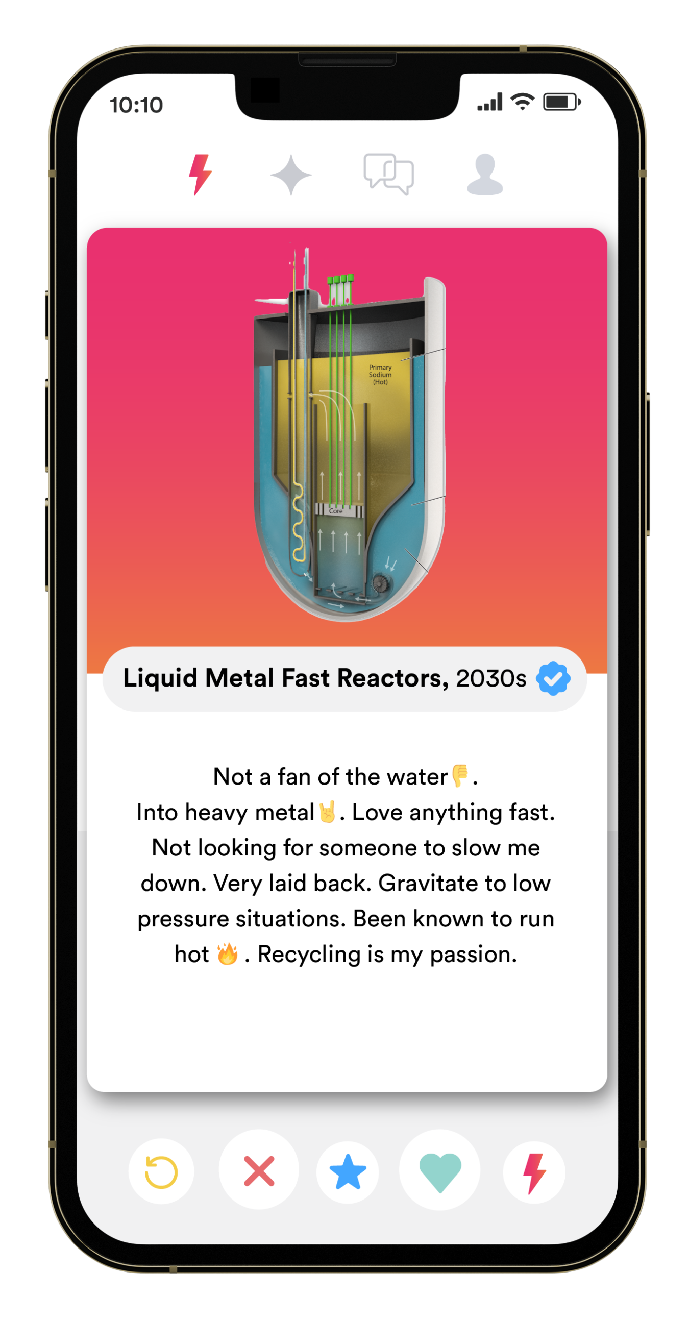 liquid metal fast reactor