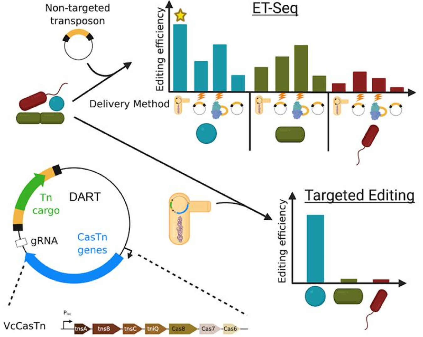 New tools provide targeted genome editing in microbial communities. ET-Seq allows the isolation independent assessment of genetic accessibility of a microbe in community context. The DART vector system allows highly specific targeted DNA insertion.