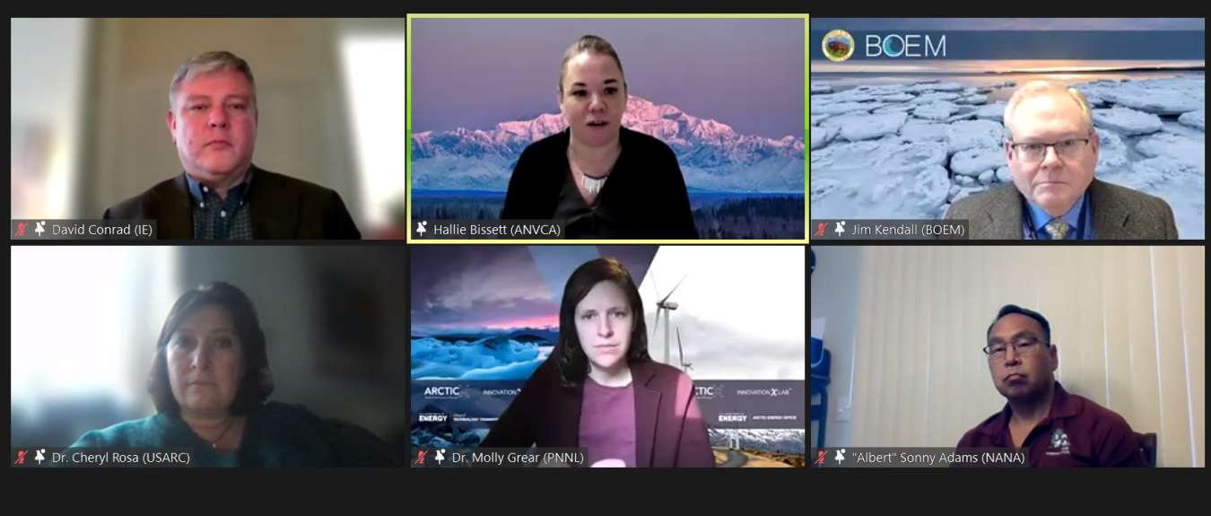 Screenshot from the first panel of the January 26 ArcticX webinar