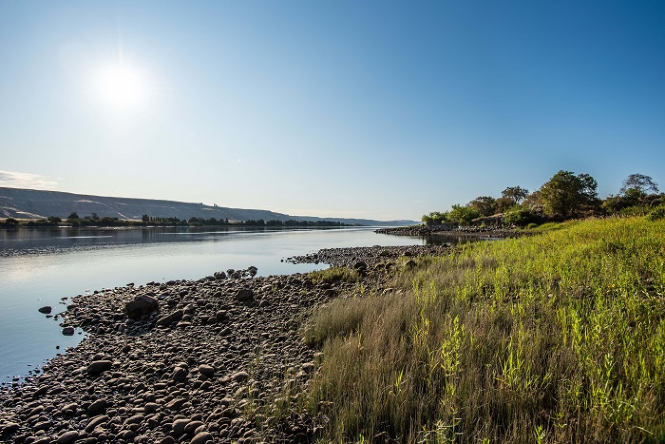 Bordering the Hanford Site’s 300 Area, this 51-mile free-flowing stretch of the Columbia River is part of the Hanford Reach. From here, it flows south and west toward the Pacific Ocean. One of the top priorities for Hanford Site cleanup is to protect the Columbia River and the region’s groundwater. 