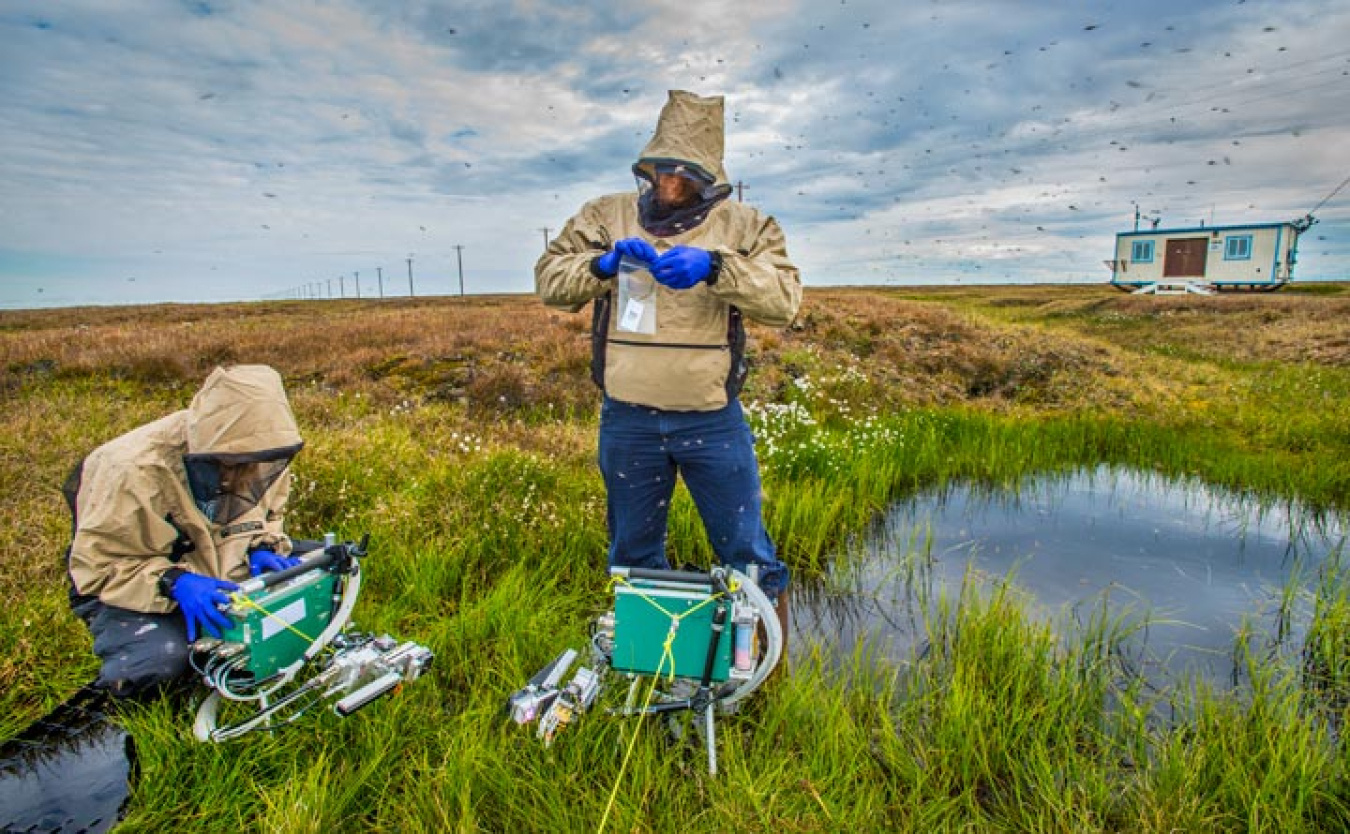 Researchers huddle over instruments in Alaska for NGEE Arctic field work.