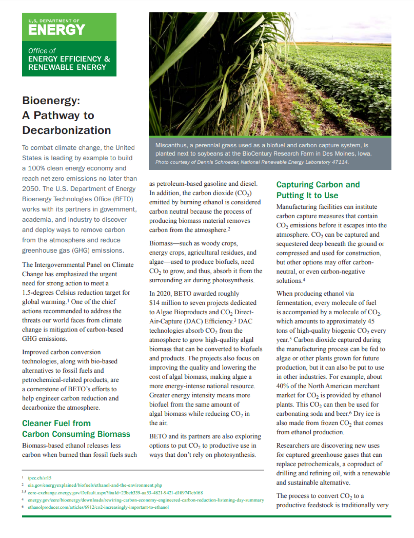 thumbnail of the Bioenergy: A Pathway to Decarbonization Fact Sheet