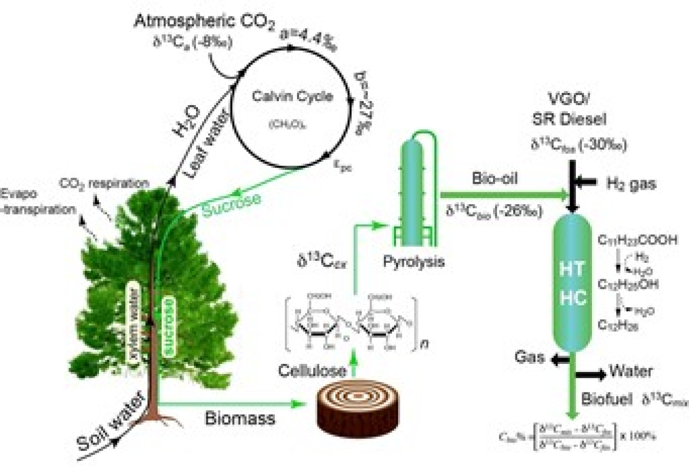 Using carbon isotope to track renewable carbon during the bio-oil co-processing with crude oil. Image courtesy of Los Alamos National Laboratory