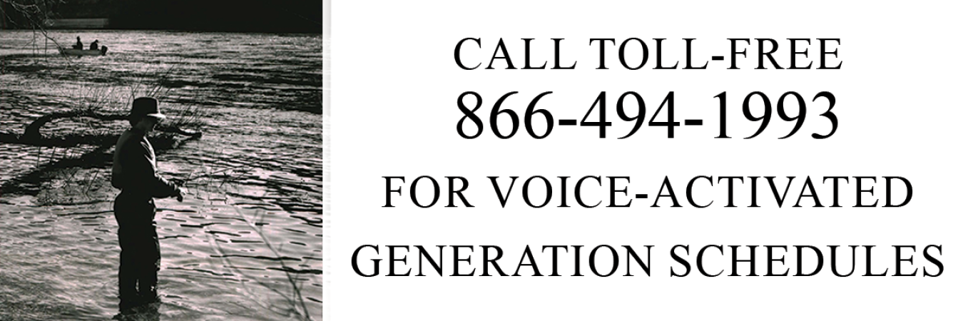 toll free graphic
