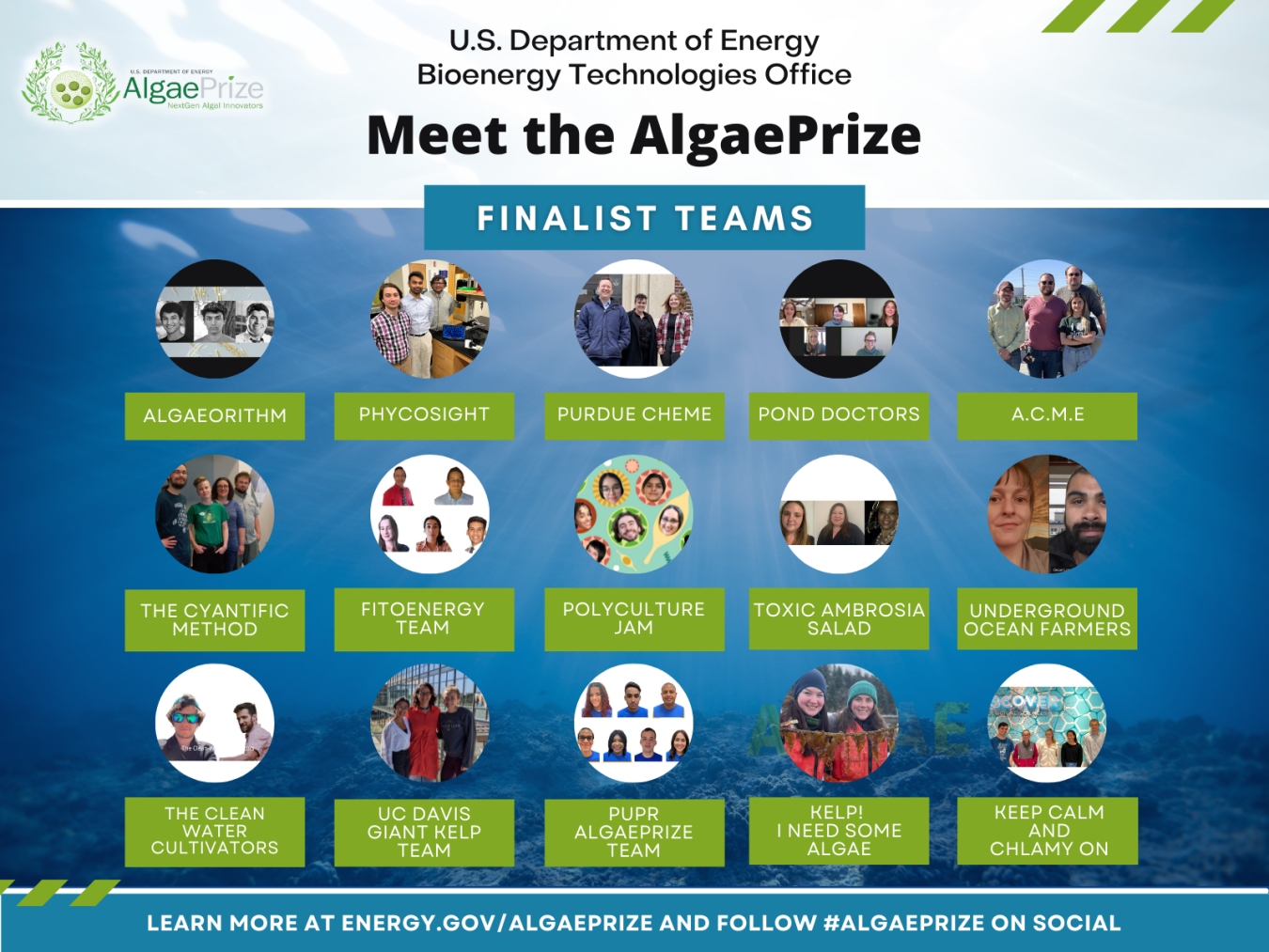 AlgaePrize Finalist Collage