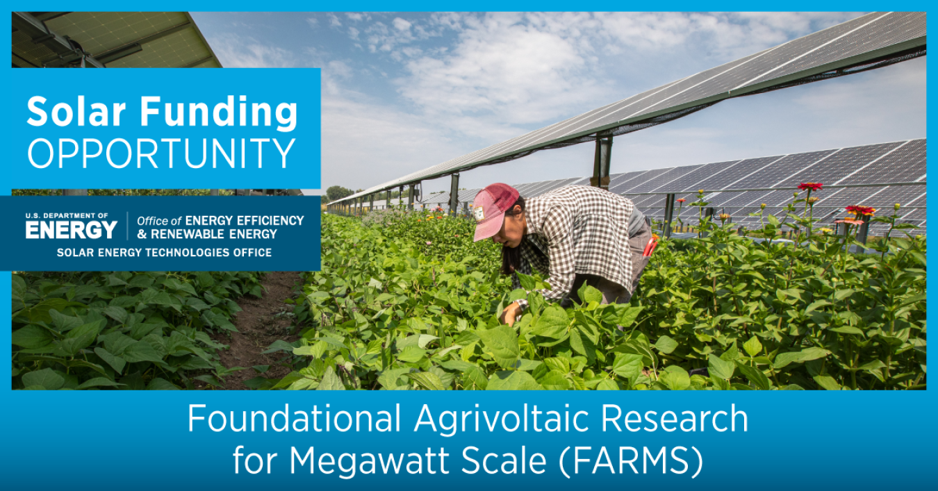 graphic for Foundational Agrivoltaic Research for Megawatt Scale (FARMS) funding opportunity