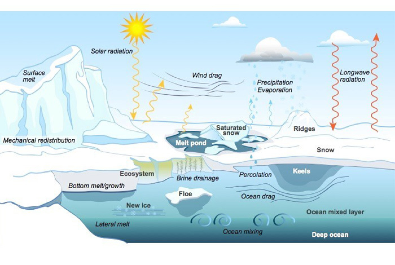 Diagram showing sea ice physics