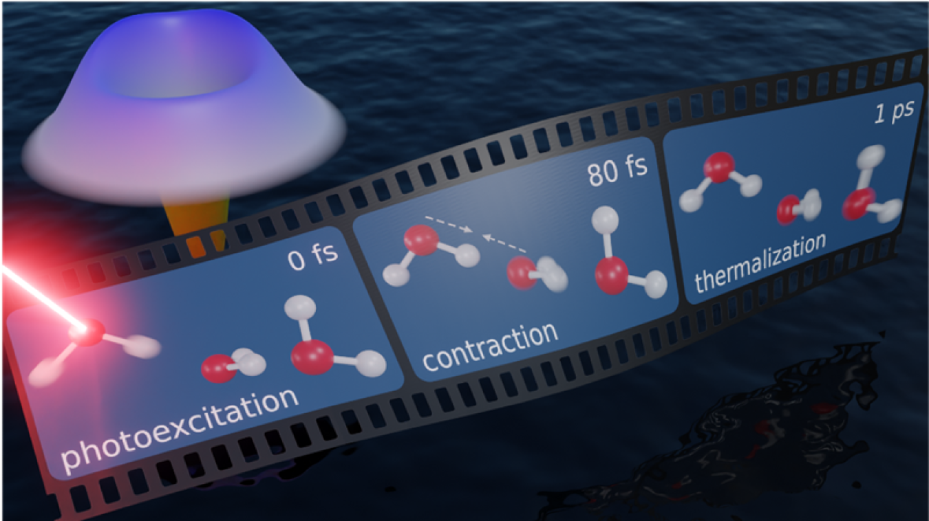 Schematic depiction of the quantum mechanical nature of water molecule interactions: excitation by a laser, followed by contraction of the hydrogen bond, then release of the energy (thermalization).