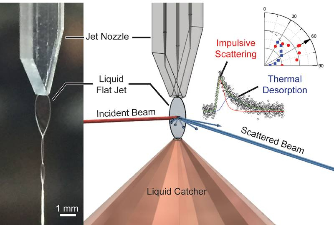 Left: a liquid dodecane flat jet produced by a microfluidic chip nozzle. Right: an incident molecular beam (red line) striking the jet surface. Researchers can analyze the velocity and angular distributions of molecules in the scattered beam (blue line).