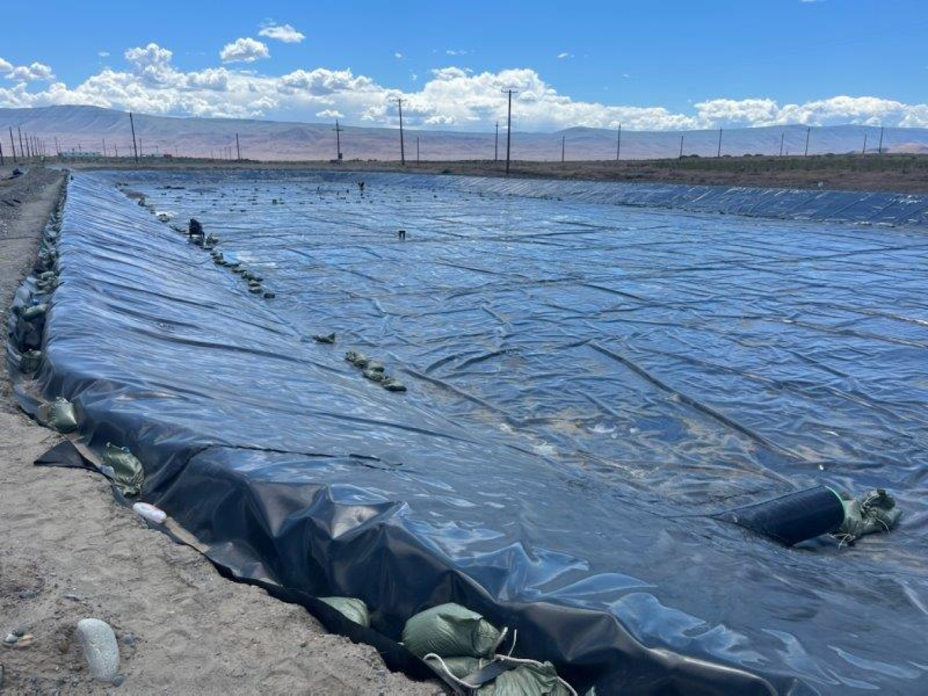 A plastic liner covers the floor and sides of the U Farm evapotranspiration basin.