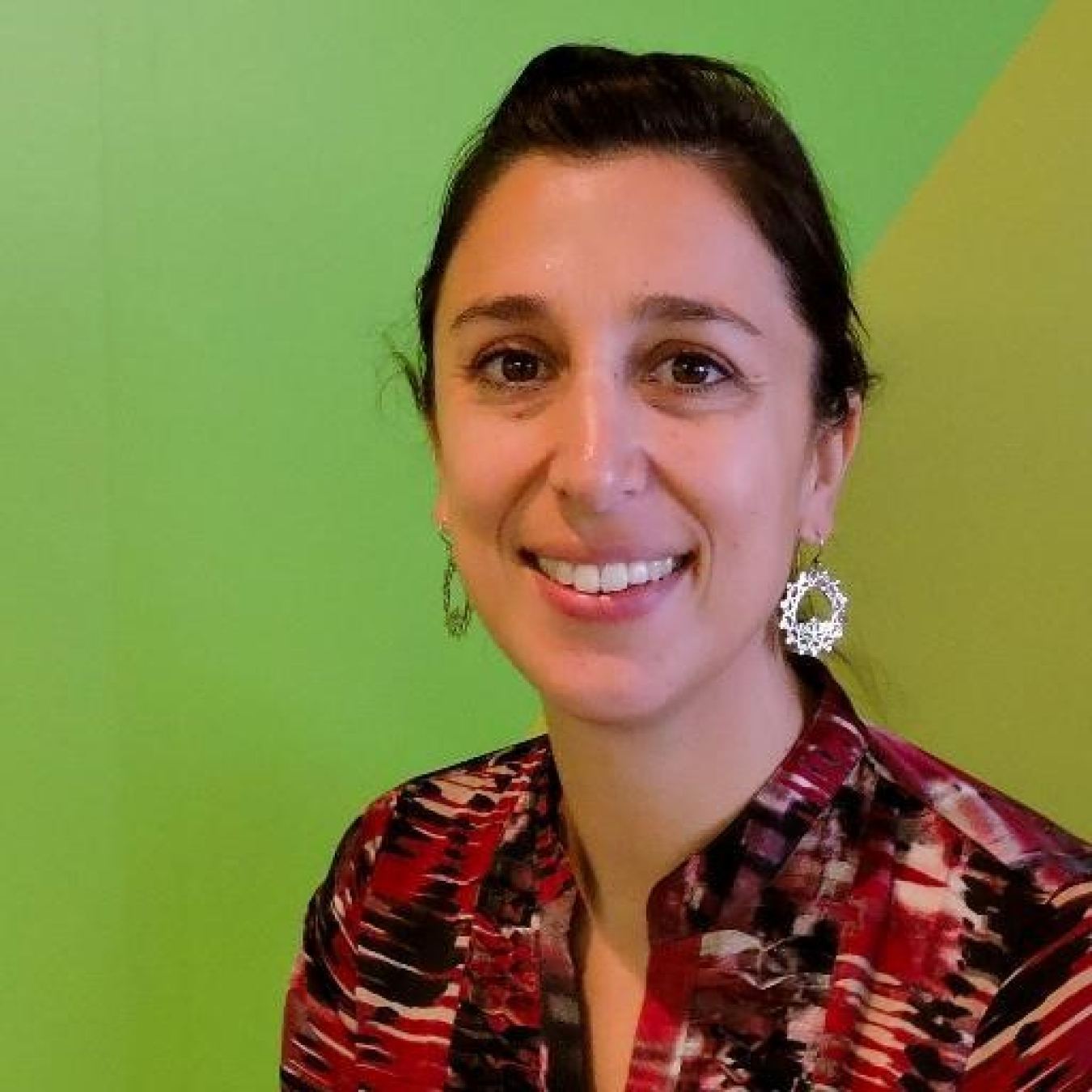 Deputy Assistant Secretary of Market Development, Climate and Multilateral Engagement within the Office of International Affairs at the U.S. Department of Energy.