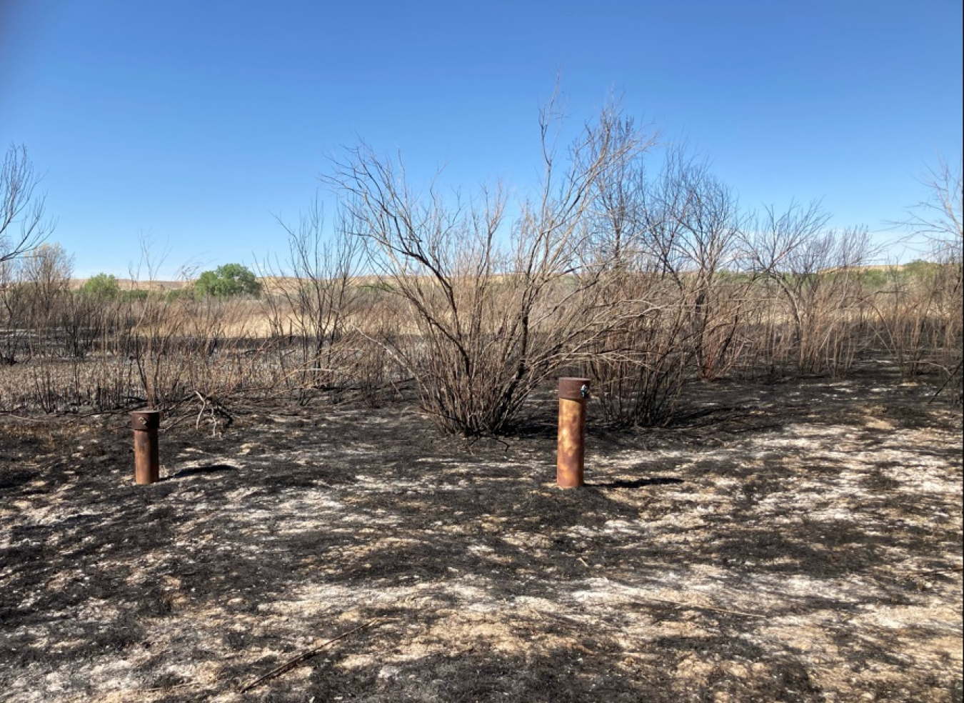 Shiprock Fire