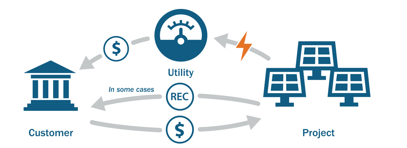 A typical community solar program structure begins with a shared solar array generating and feeding solar power into the grid. Most community solar arrays are owned by utilities or third-party project developers.