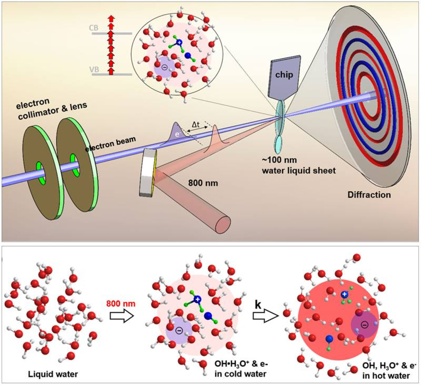 Top: The ultrafast electron diffraction system used to capture reactive transient structures in ionized water. Bottom: Ionization of liquid water and the formation of solvated hydronium, hydroxyl radical and electron, followed by thermalization.