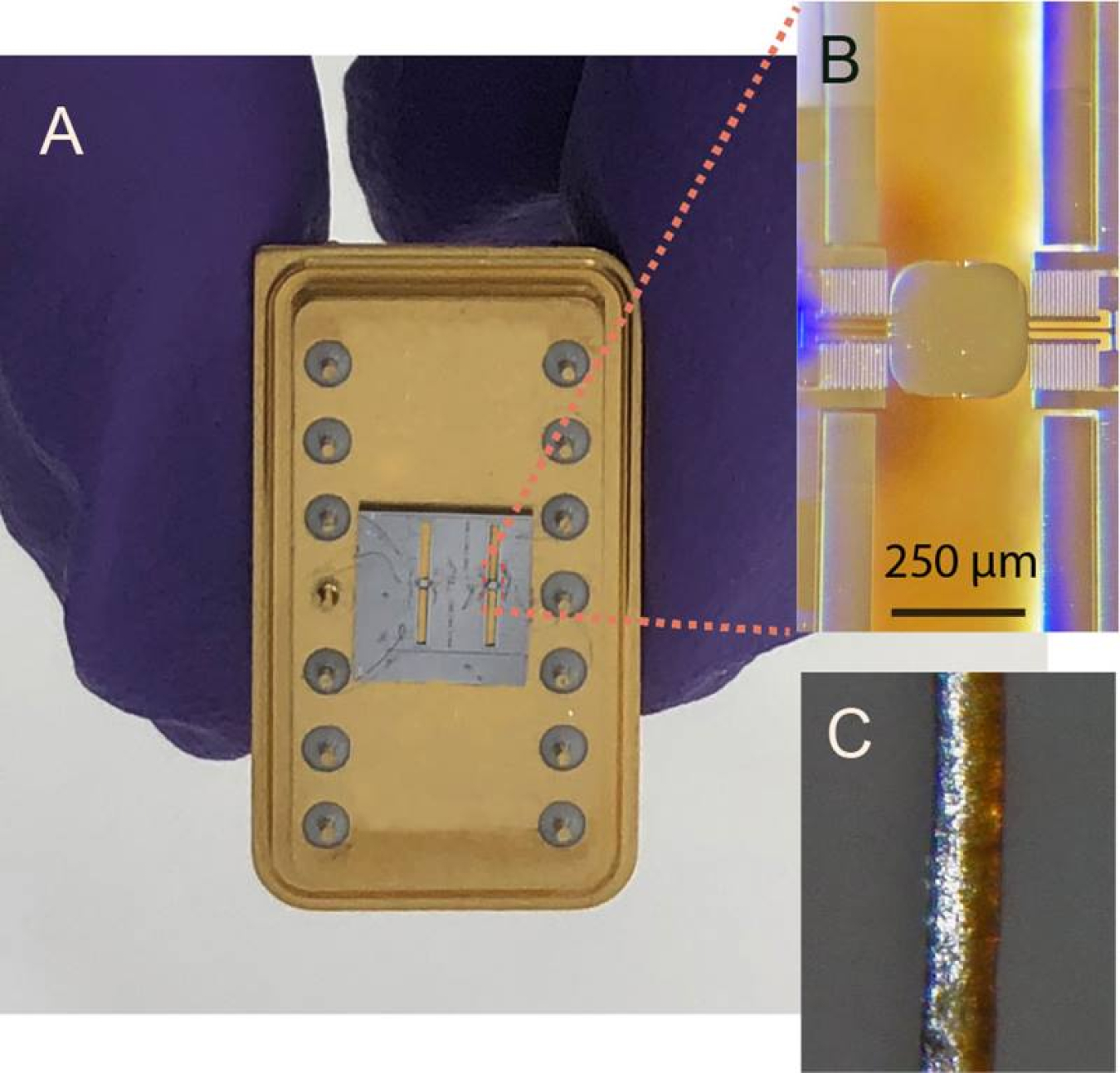 Two optical microelectromechanical devices made on a single chip (image A) for manipulating X-ray beams. The active elements measure just 250 by 250 micrometers (micrograph B), comparable in size to human hair (image C).