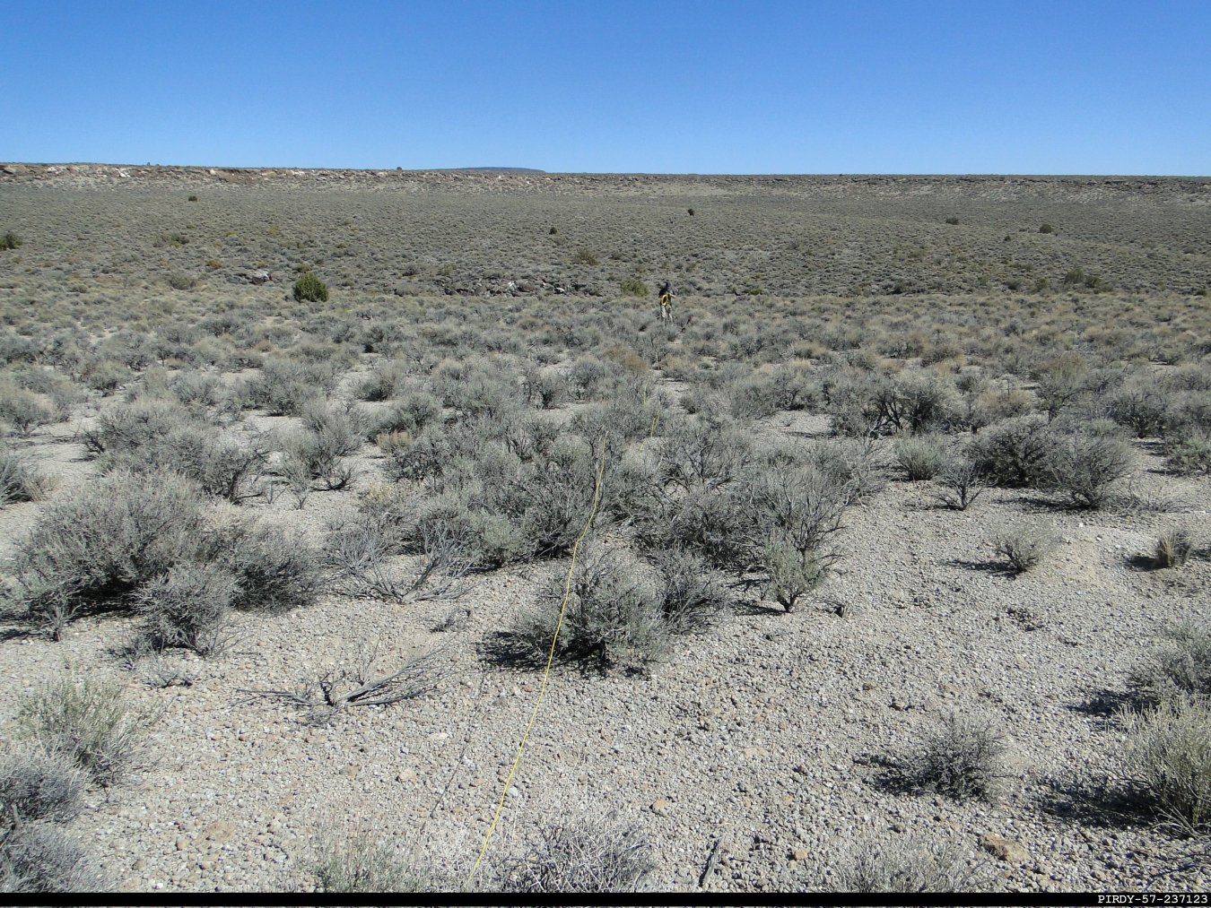 A worker, pictured at center and back, lays out a yellow wire to support the EM Nevada Program's recent geophysical survey on the Pahute Mesa at the Nevada National Security Site. The wire receives electrical current pulses from a fixed location as part of the survey process. Data recorded helps shape a map of what the subsurface might look like. 