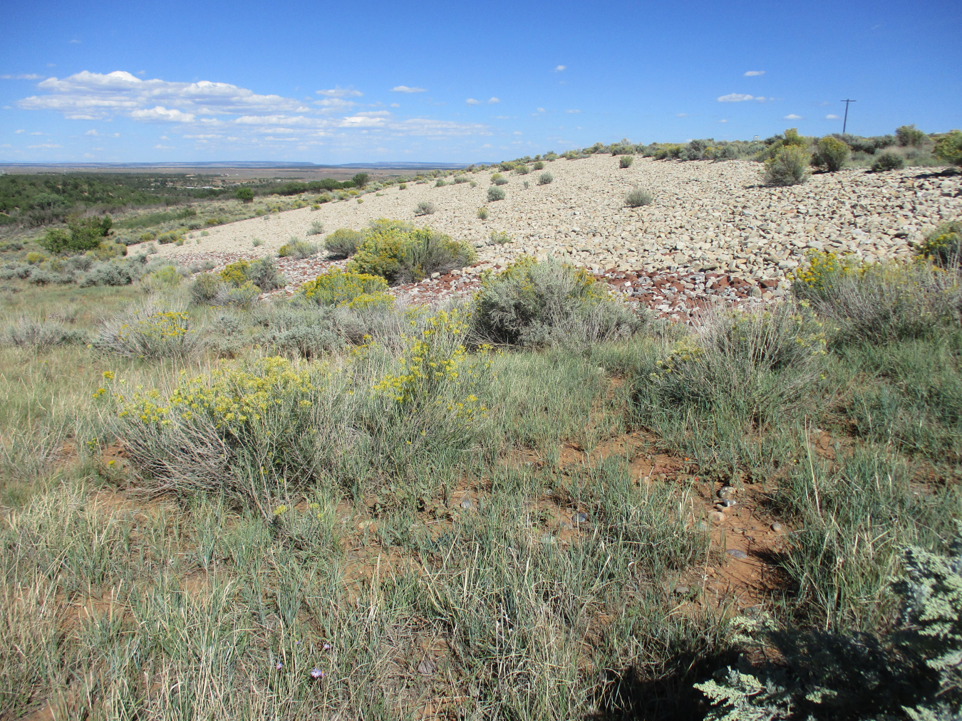 Monticello Disposal Cell