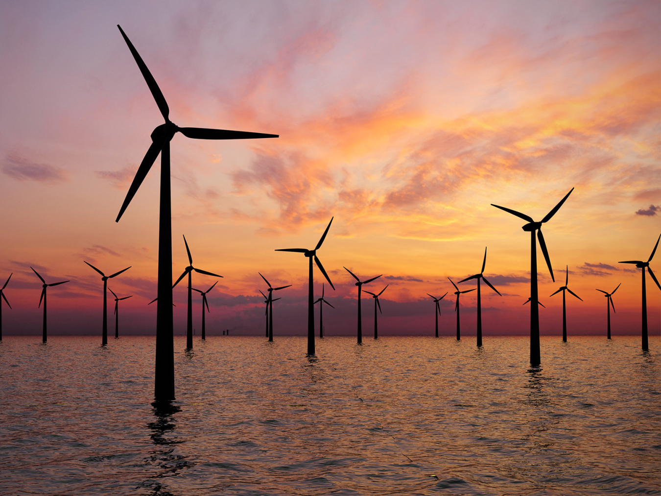 Offshore wind farm at sunset.