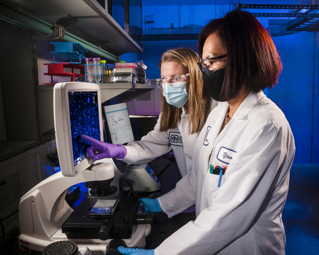 Two scientists look at images of cells on a screen in a laboratory