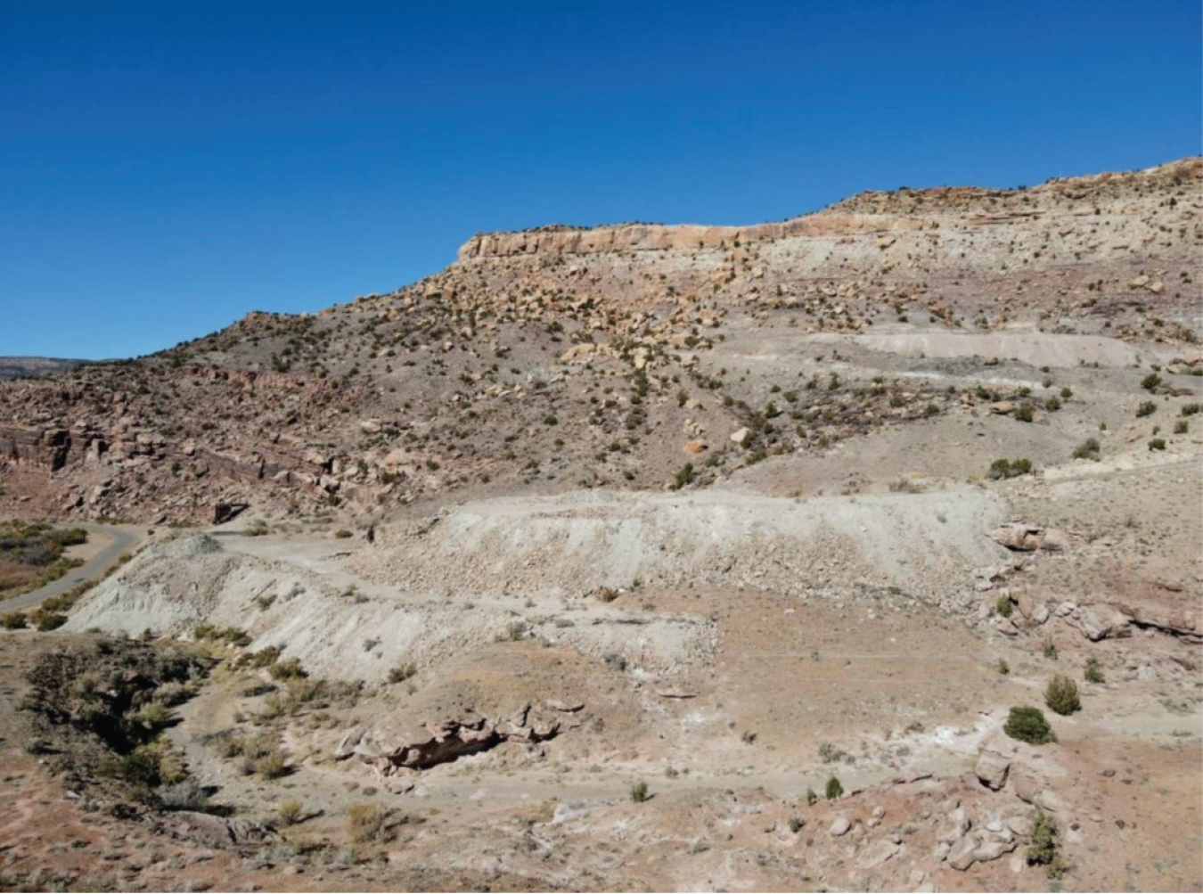 ULP Reclamation Burro Mine