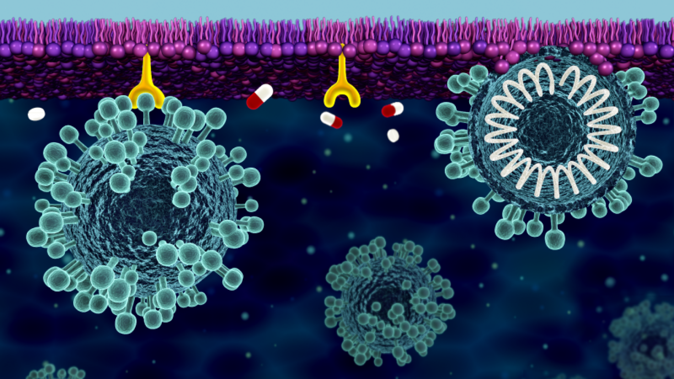 Researchers used neutrons to investigate how the coronavirus responsible for COVID-19 uses its spike proteins to bind to the cell membrane and cause viral infection.