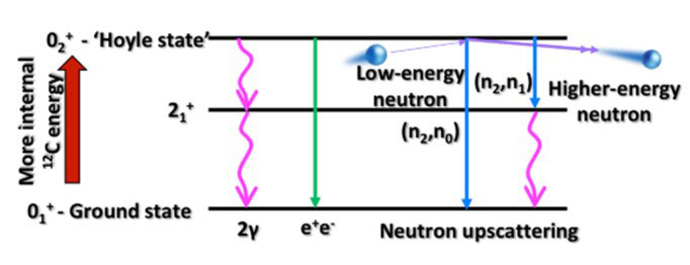 Schematic showing how neutrons in stars can cause stars to burn more quickly by stealing the energy from carbon as it is freshly created in a highly excited form (called the ‘Hoyle state’) to produce stable carbon in its lowest energy level or “ground state.”