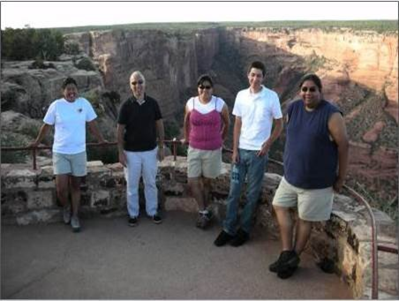 Five people casually dressed lean against a short stone wall overlooking a canyon. They are all facing the camera and smiling.