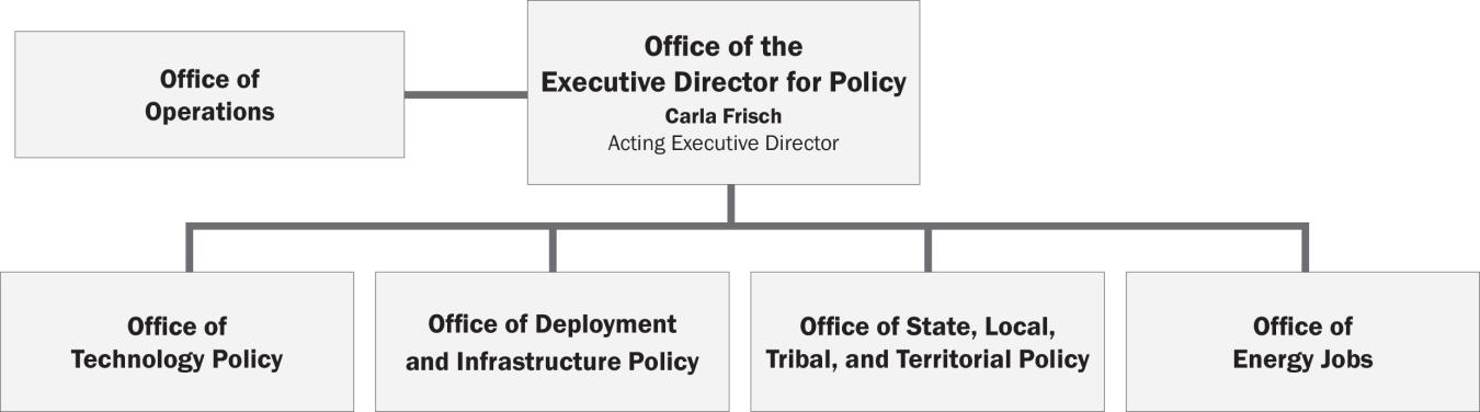 Organizational Structure of the Office of Policy