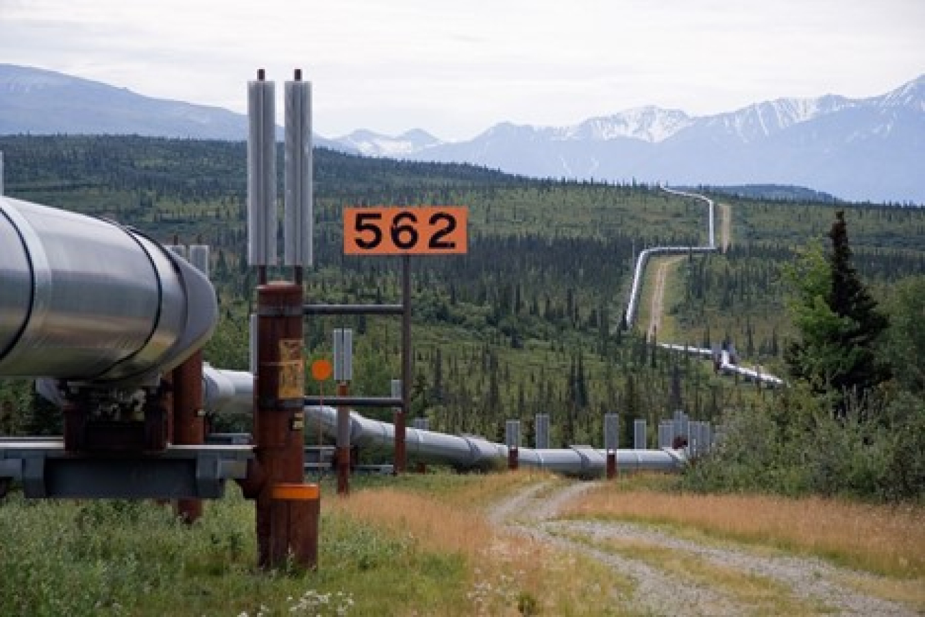 The Trans Alaska pipeline spanning the landscape. 