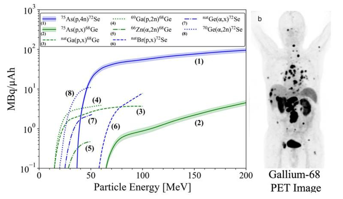 Left: production rate as a function of proton energy of parent radioisotopes selenium-72 (Se-72) (1) and germanium-68 (Ge-68) (2). Right, a Positron Emission Tomography (PET) image of a patient with metastatic colon cancer, obtained using gallium-68 (Ga-68).