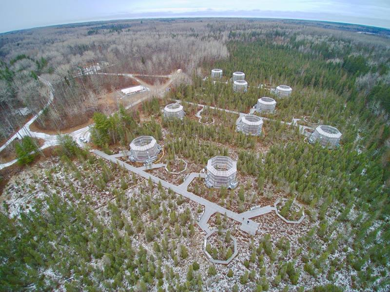 Aerial view of the Department of Energy’s Spruce and Peatland Responses Under Changing Environments experimental site in Minnesota in October 2020.