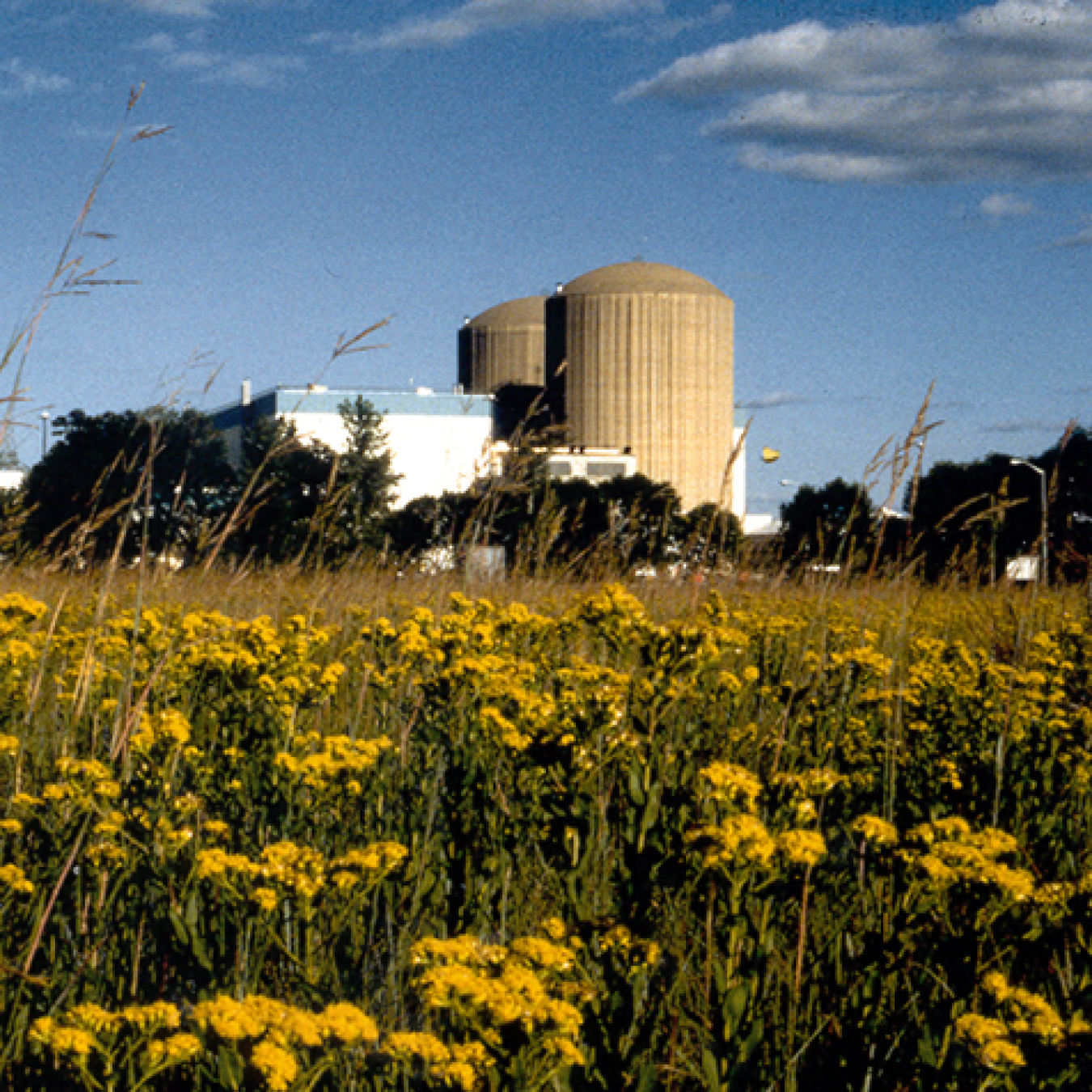 Prairie Island Nuclear Generating Plant