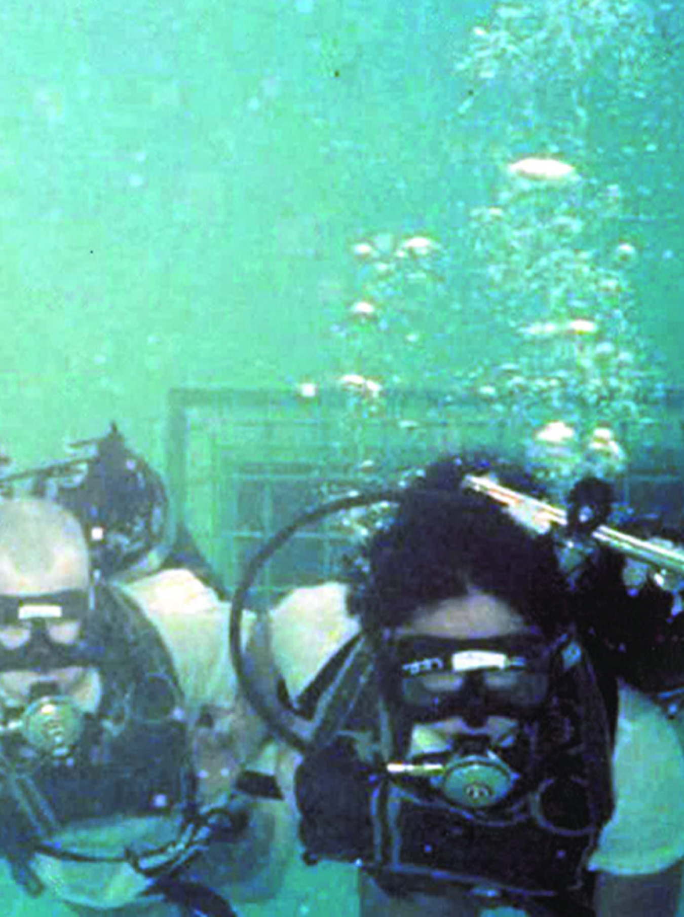Photo of So Yon Bedlington Scuba diving