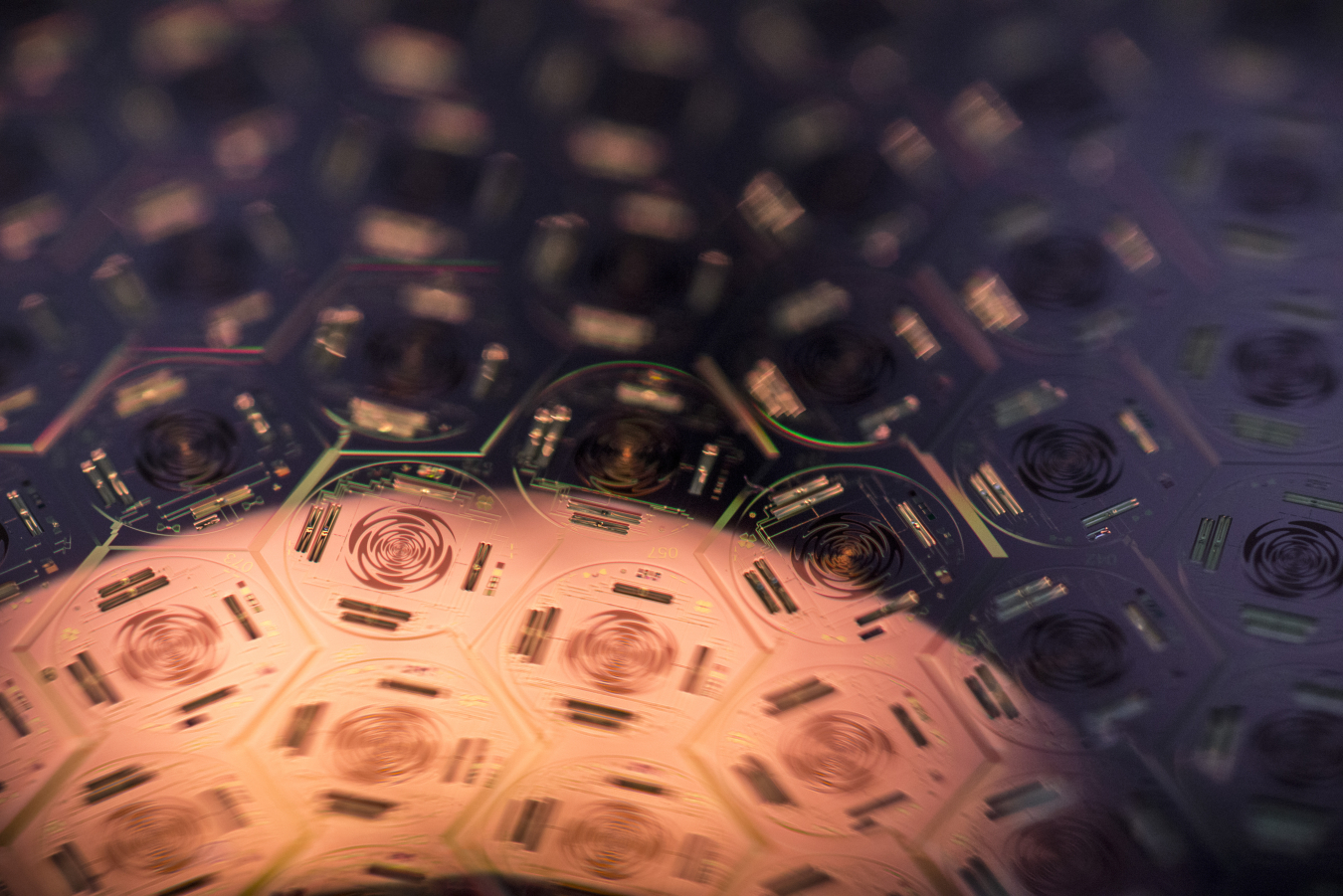 zoomed in image of the south pole telescope detector