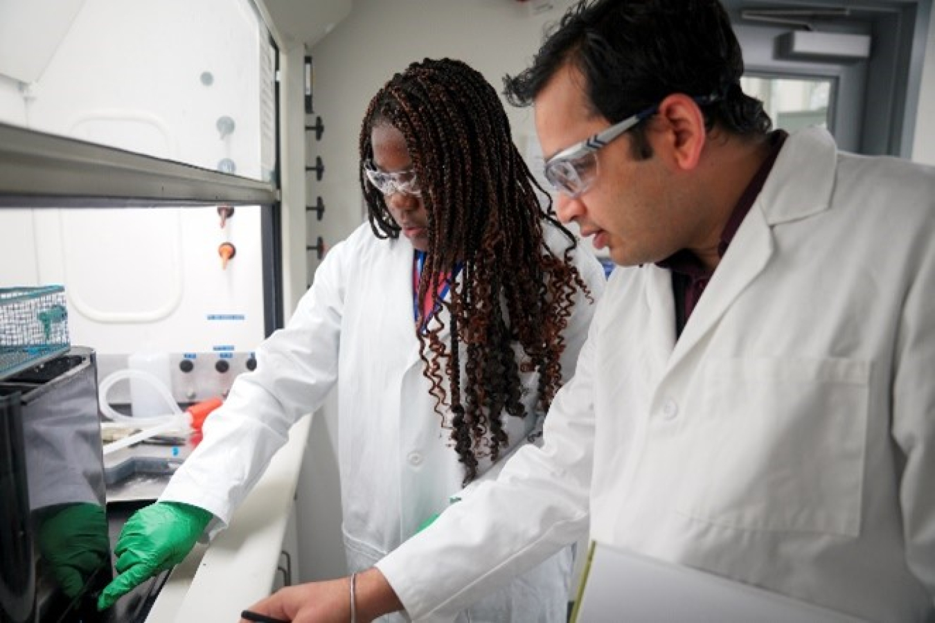 Students and Researchers in STEM