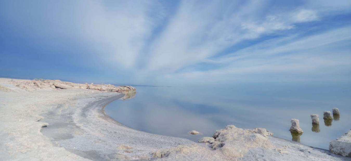 Salton Sea coast