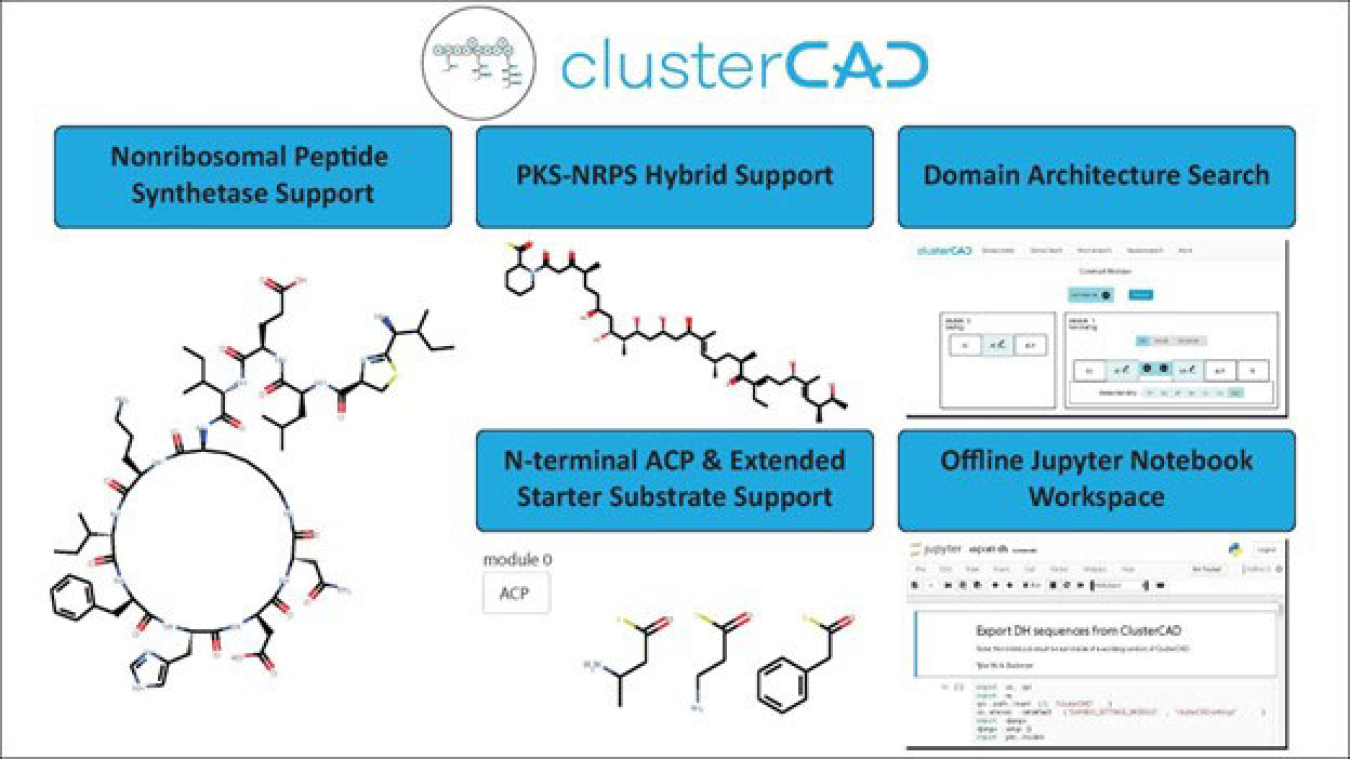 An overview of the new ClusterCAD features.